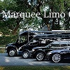marqueelimoco