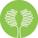 prinehealth