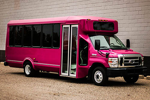 pinkpartybuses
