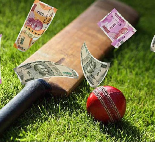 tigerexchangecricket