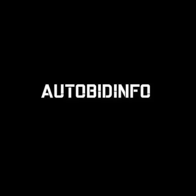 autobidinfo