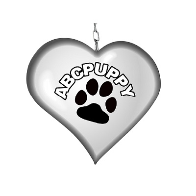 abcpuppy