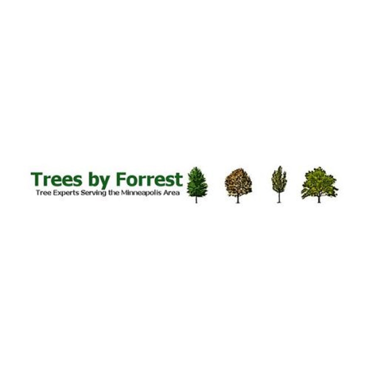 Treesbfforrest